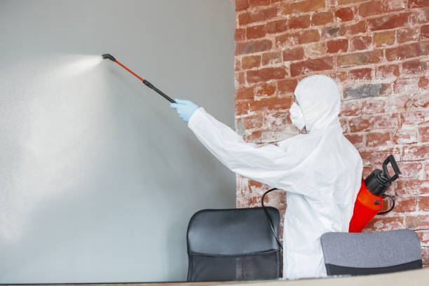 Best Mold Remediation for Vacation Homes  in Middleburg, FL